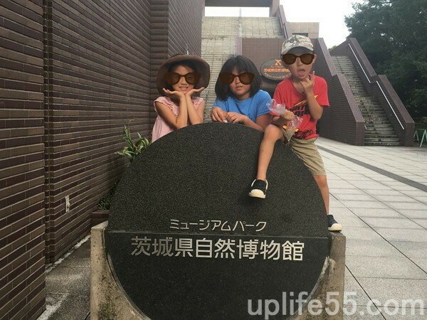 お盆休みに茨城自然博物館へ！9歳、4歳の子供は楽しめた？駐車場混雑は？