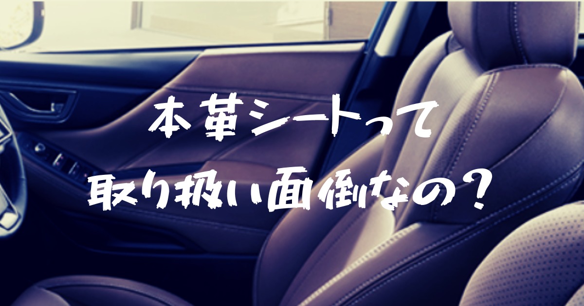 本革シート初心者のパパ ママ必見 子供たちから本革シートを守る方法はコレ フォレナビ 18新型フォレスター情報ブログ