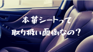 本革シート初心者のパパ・ママ必見!子供たちから本革シートを守る方法はコレ!