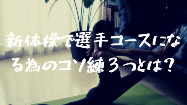 父書く 娘が小4で新体操の選手コースに 家でやっていた３つのコソ練とは フォレナビ 18新型フォレスター情報ブログ