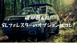 【SL】フォレスター購入記｜僕が選んだオプションとは？